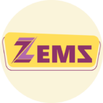 ZEMS Institute Brand Logo