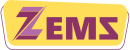 ZEMS Institute Brand Logo